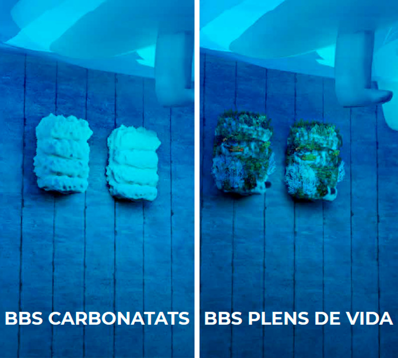medio_ambiente-2
